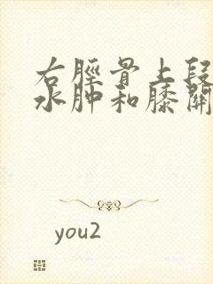 右胫骨上段内侧水肿和膝关节少量积液