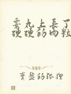 睾丸上长了一个硬硬的肉粒