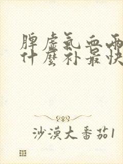 脾虚气血两虚吃什么补最快