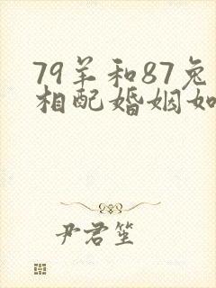 79羊和87兔相配婚姻如何封面