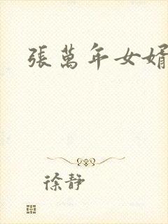 张万年女婿封面