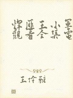 悍匪王小军免费观看全集电视剧