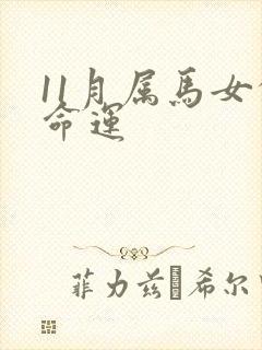 11月属马女的命运