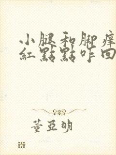 小腿和脚痒还有红点点咋回事封面