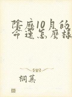 阴历10月的马命运怎么样