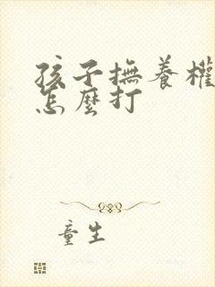 孩子抚养权官司怎么打