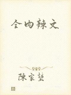 全肉辣文