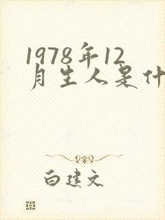 1978年12月生人是什么命