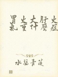 胃火大肝火旺湿气重什么症状