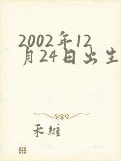 2002年12月24日出生是什么命