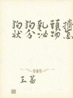 狗狗乳头挤出水状分泌物怎么回事封面