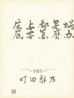 床上都是螨虫到底要怎么办才能去除