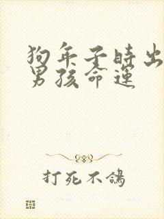 狗年子时出生的男孩命运