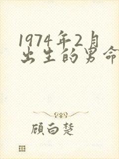 1974年2月出生的男命运_封面