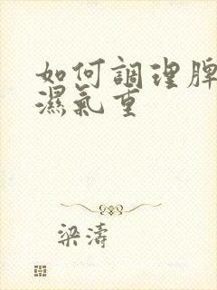 如何调理脾胃虚湿气重