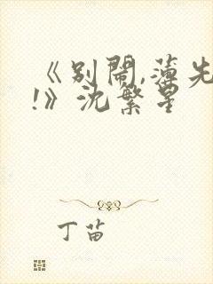 《别闹,薄先生!》沈繁星