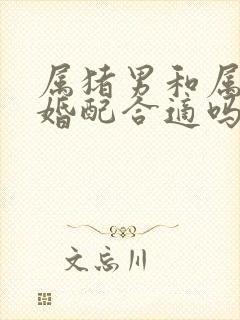 属猪男和属龙女婚配合适吗