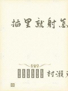 插里就射怎么办