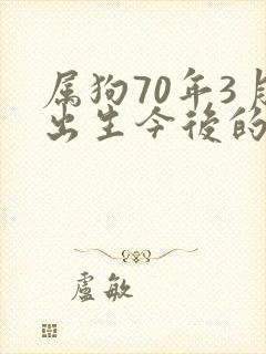 属狗70年3月出生今后的运气如何封面