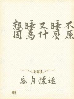 想睡又睡不着是因为什么原因