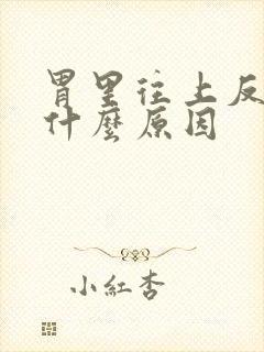 胃里往上反气是什么原因