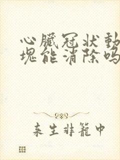 心脏冠状动脉斑块能消除吗