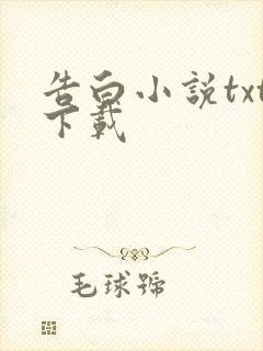 告白小说txt下载