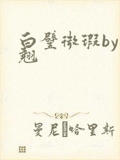 白璧微瑕by连翘封面