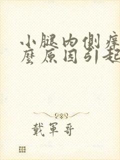 小腿内侧痒是什么原因引起的封面