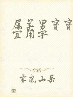 属羊男宝宝起名宜用字