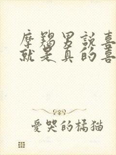 摩羯男说喜欢你就是真的喜欢你吗封面