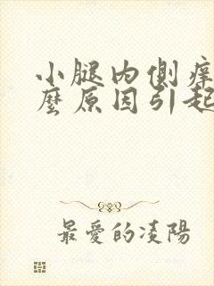 小腿内侧痒是什么原因引起的