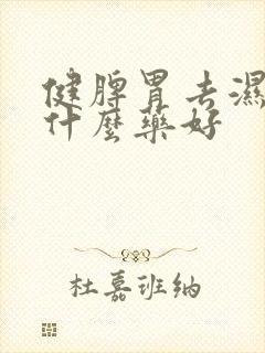 健脾胃去湿气用什么药好封面