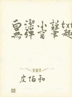 白洁小说txt无弹窗笔趣阁