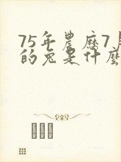 75年农历7月的兔是什么命