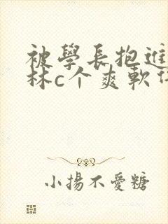 被学长抱进小树林c个爽软件封面