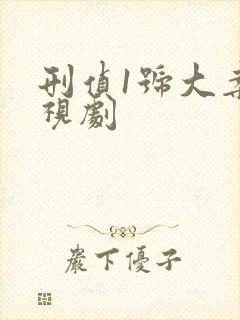 刑侦1号大案电视剧