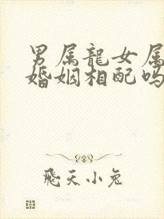 男属龙女属龙的婚姻相配吗