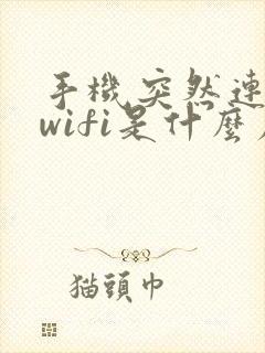 手机突然连不上wifi是什么原因