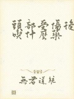 头部受伤后头晕吃什么药