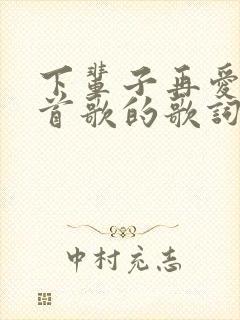 下辈子再爱是哪首歌的歌词