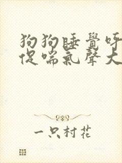 狗狗睡觉呼吸急促喘气声大