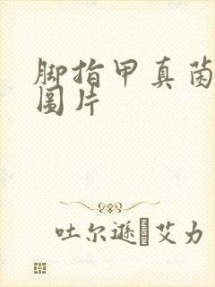 脚指甲真菌感染图片