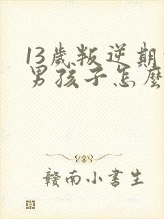 13岁叛逆期的男孩子怎么去引导