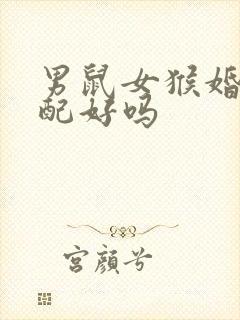 男鼠女猴婚姻相配好吗