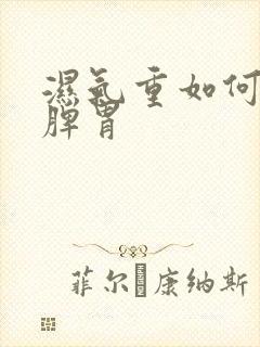 湿气重如何调理脾胃