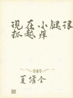 现在小腿很痒越抓越痒封面