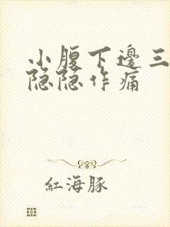 小腹下边三角区隐隐作痛