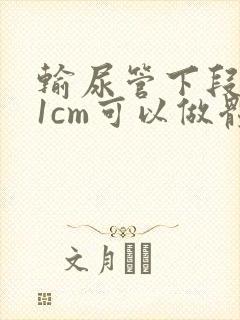 输尿管下段结石1cm可以做体外碎石吗