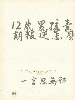 12岁男孩青春期叛逆怎么办封面